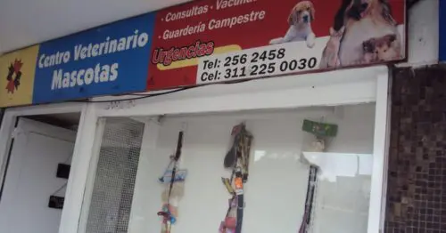 CENTRO VETERINARIO MASCOTAS BOGOTÁ CENTRO VETERINARIO MASCOTAS BOGOTÁ